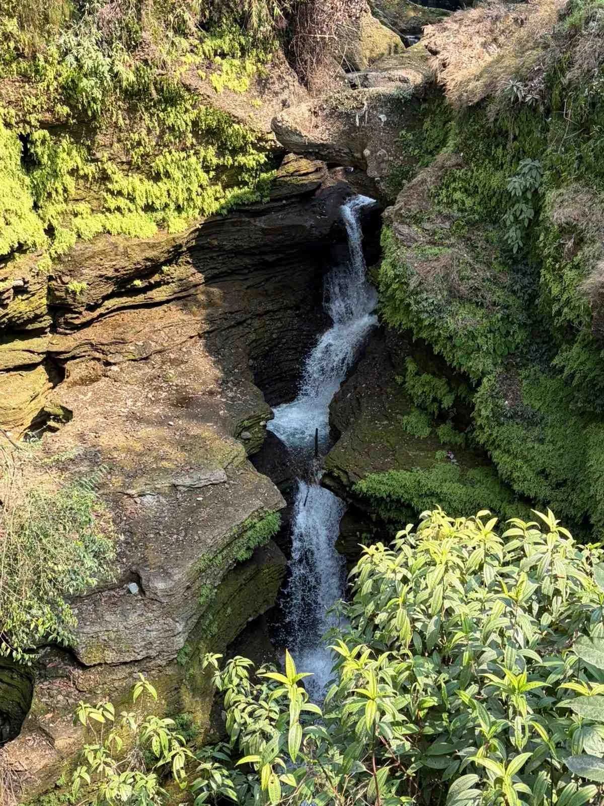 Davis Falls in Pokhara a waterfall cascading into a deep narrow rocky chasm with lush green foliage