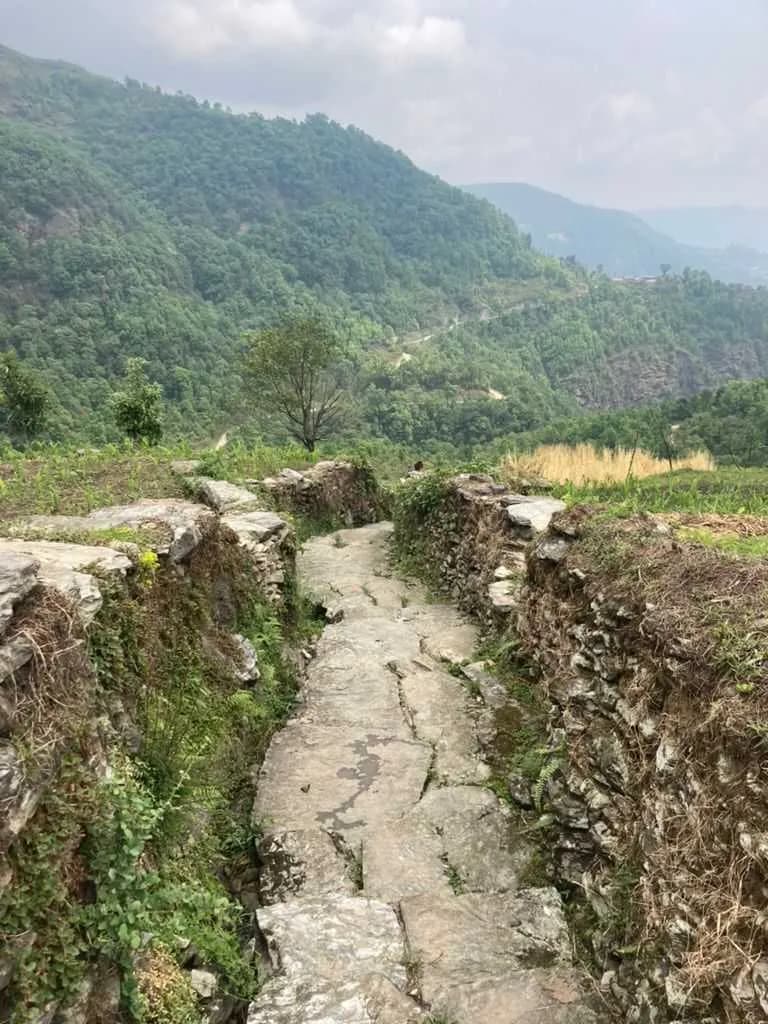 A winding stone path leads through lush green hills and terraced landscapes toward Panchase