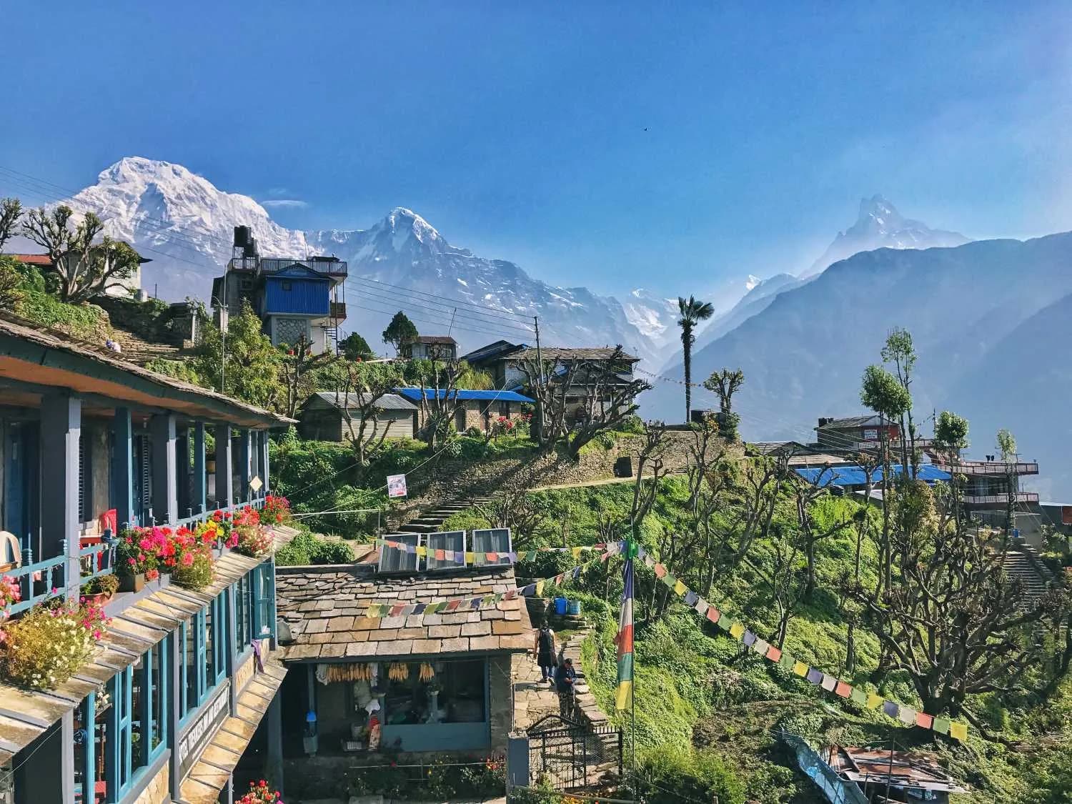 Traditional Ghandruk stone houses with colorful flowers and prayer flags against the Annapurna mountain range