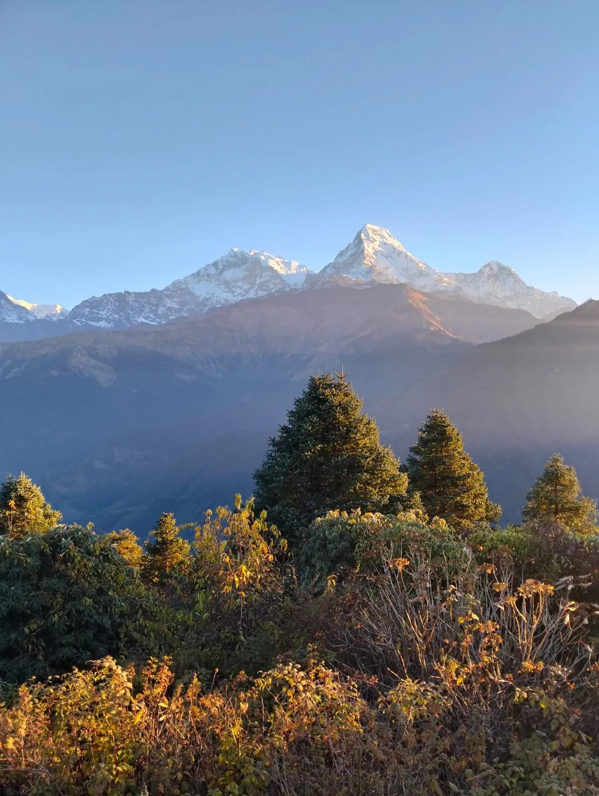 Morning sunlight hitting the rugged snowy faces of Annapurna South and Hiunchuli peaks